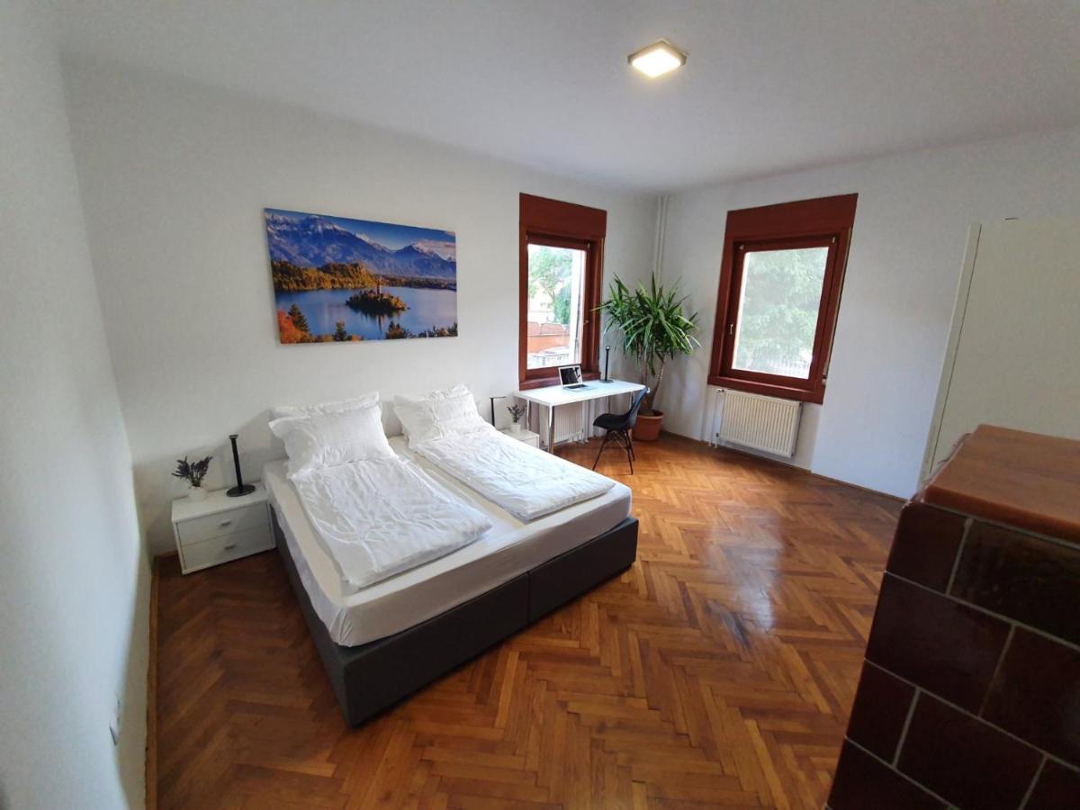 Huge Bbq Garden 2, Spacious Flat, Ac, Free Parking 2 Ljubljana Eksteriør bilde