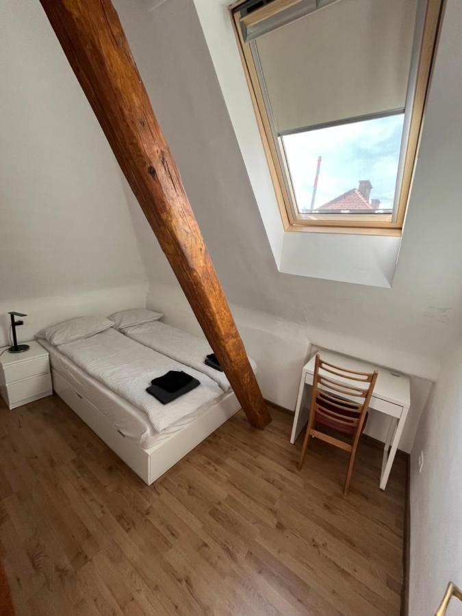 Huge Bbq Garden 2, Spacious Flat, Ac, Free Parking 2 Ljubljana Eksteriør bilde