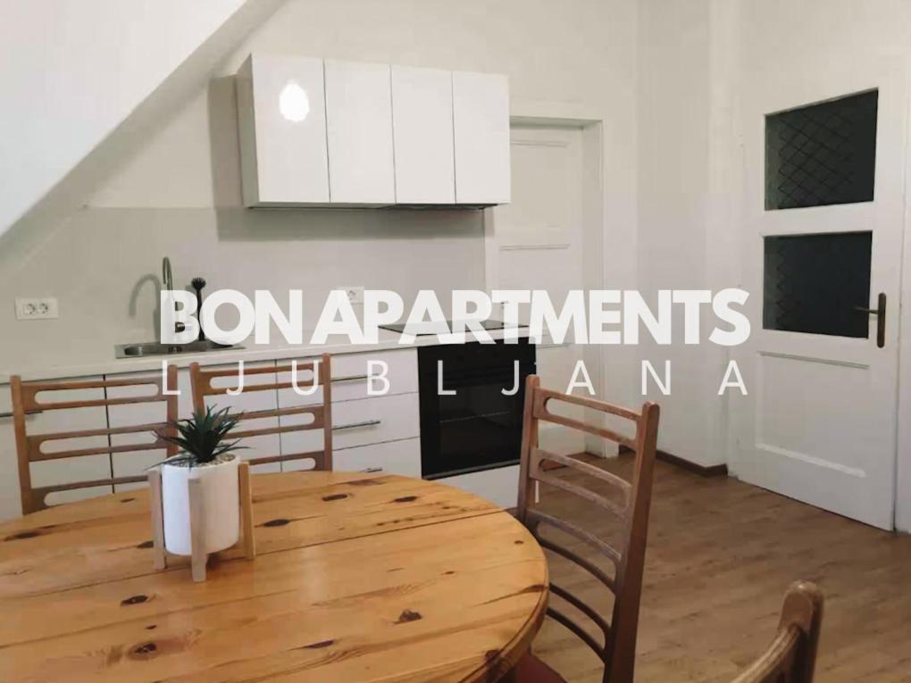 Huge Bbq Garden 2, Spacious Flat, Ac, Free Parking 2 Ljubljana Eksteriør bilde