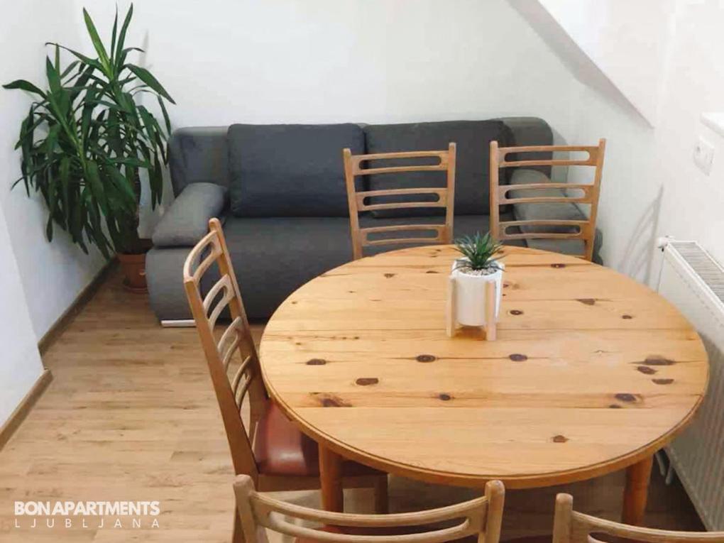 Huge Bbq Garden 2, Spacious Flat, Ac, Free Parking 2 Ljubljana Eksteriør bilde